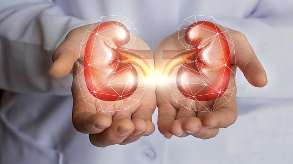 IMPROVE KIDNEY FUNCTION